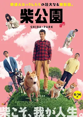 1080P手机在线看