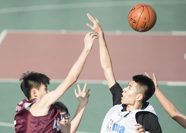 蓝光原盘在线观看