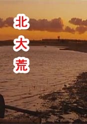清晰在线播放观看