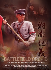 BD国语全集免费观看