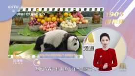 HD手机免费观看完整